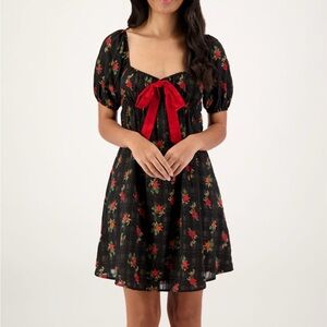 NWT Pretty Garbage- Rose Printed Babydoll Dress (Juniors)